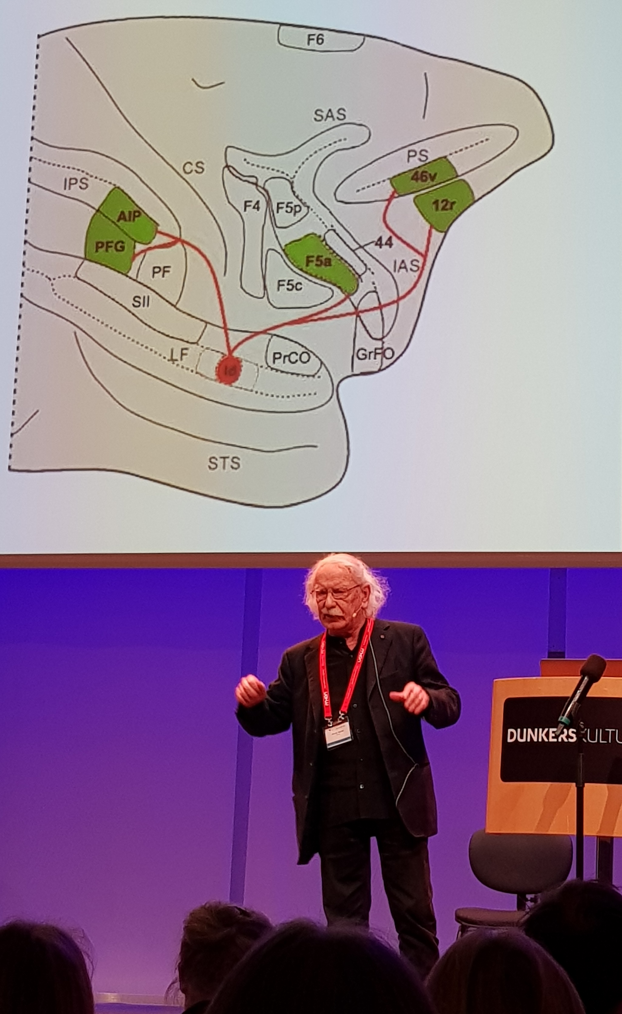 Riksstämman 2020: Spegelneuron – den neurala basen för empati?